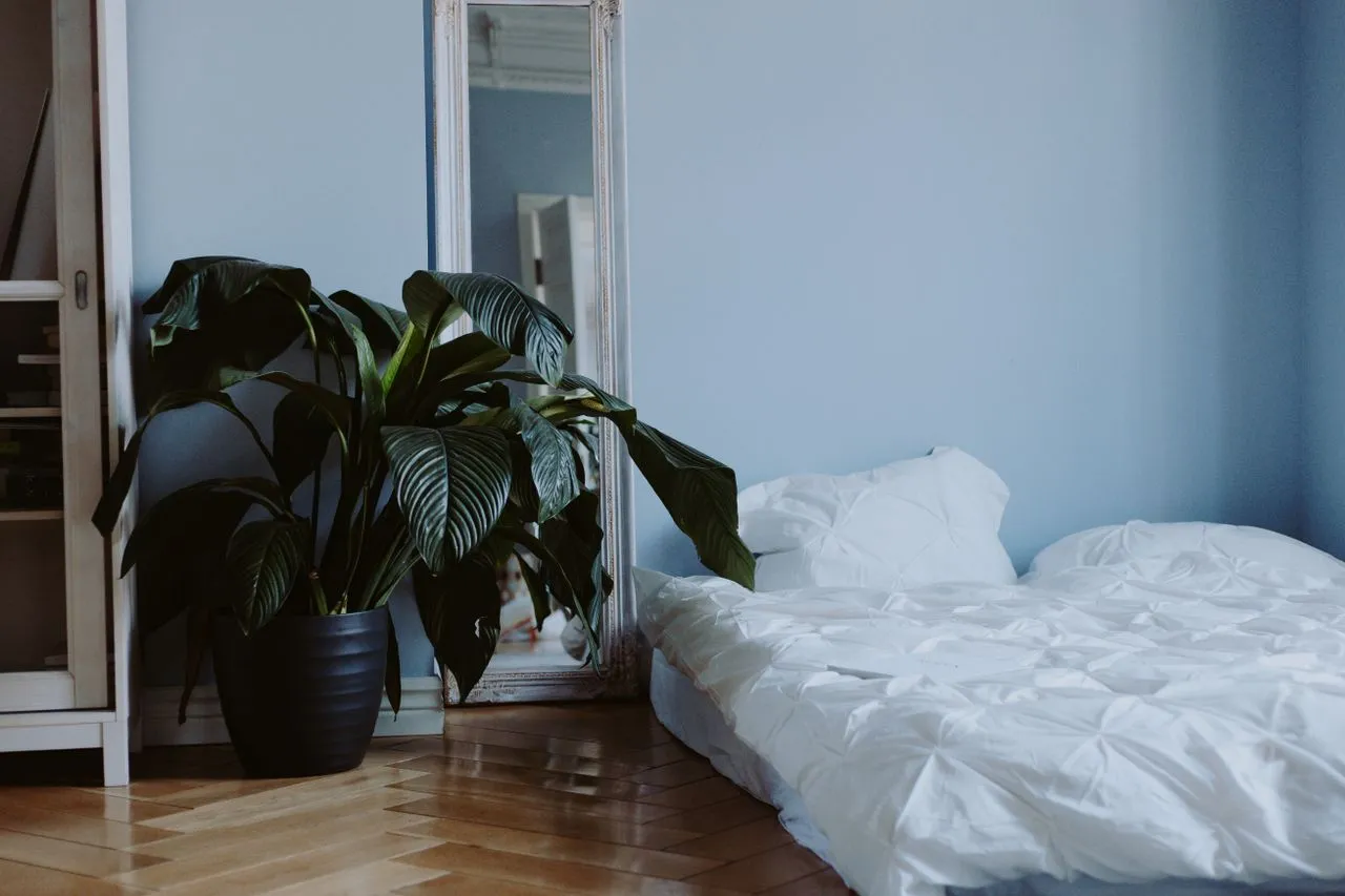 White pillows and duvet on a low bed against a pale blue wall